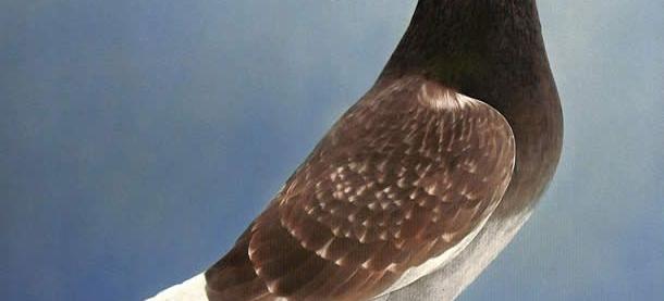 开云体育投注-摩纳哥迎战圣埃蒂安：冠军路上再续辉煌的简单介绍