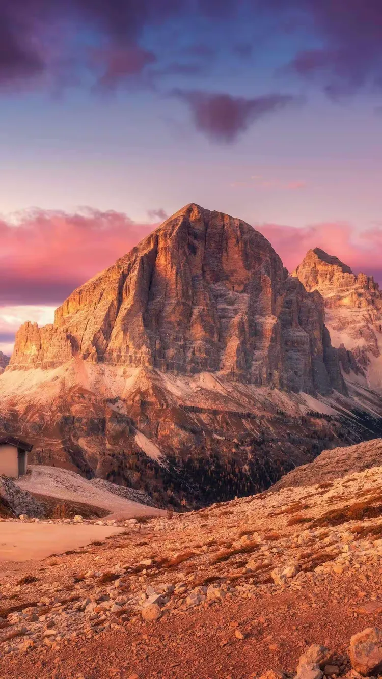 包含体育竞技风景无限好,谁与争锋的词条 包含体育竞技风景无限好,谁与争锋的词条